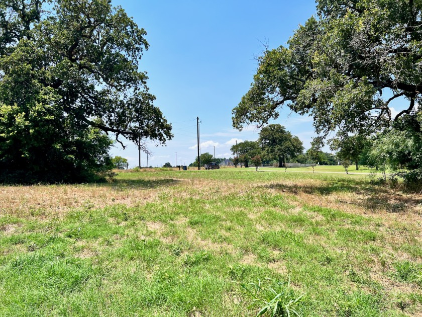 3 Acres in Lake Subdivision on Richland Chambers Lake! - photo 5