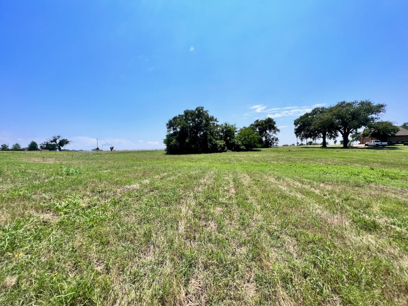 3 Acres in Lake Subdivision on Richland Chambers Lake! - photo 16