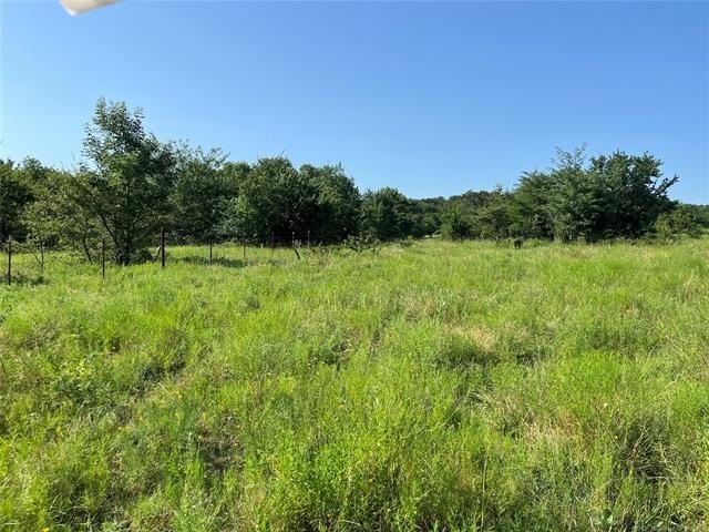 160 acres of great deer hunting and cattle running pasture - photo 6