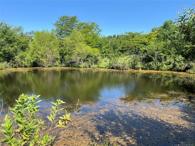 160 acres of great deer hunting and cattle running pasture - photo 8