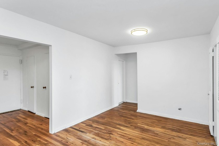 Affordable Spacious One Bedroom Apartment with Manhattan views - photo 11