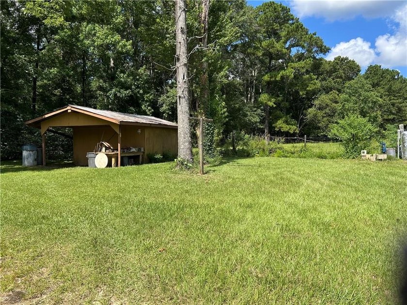 This beautiful 5.8 acres with all kinds of trees does not front - photo 14