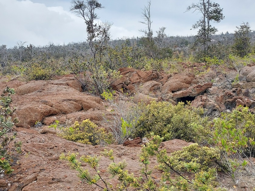 A BEAUTIFUL ROCKY LOT ALREADY STAKED AND READY TO BUILD. LOT IS - photo 5