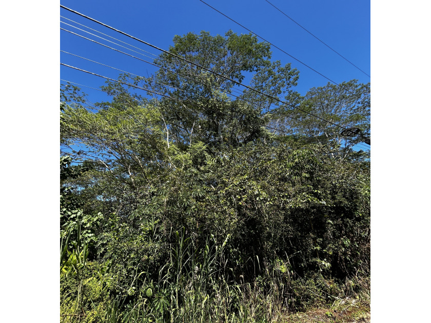 Located in Hawaiian Parks Subdivision, this property offers an - photo 2