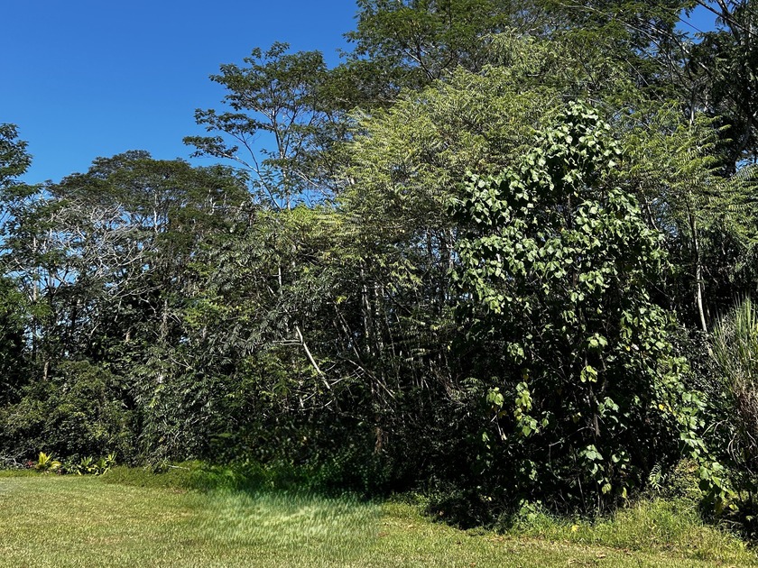 Located in Hawaiian Parks Subdivision, this property offers an - photo 4