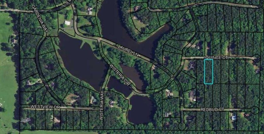 OWNER FINANCING WITH 25% DOWN. 0.65 Acre buildable lot in Oak - photo 2