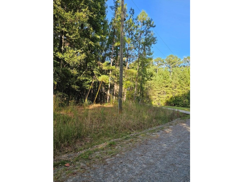 OWNER FINANCING WITH 25% DOWN. 0.65 Acre buildable lot in Oak - photo 5