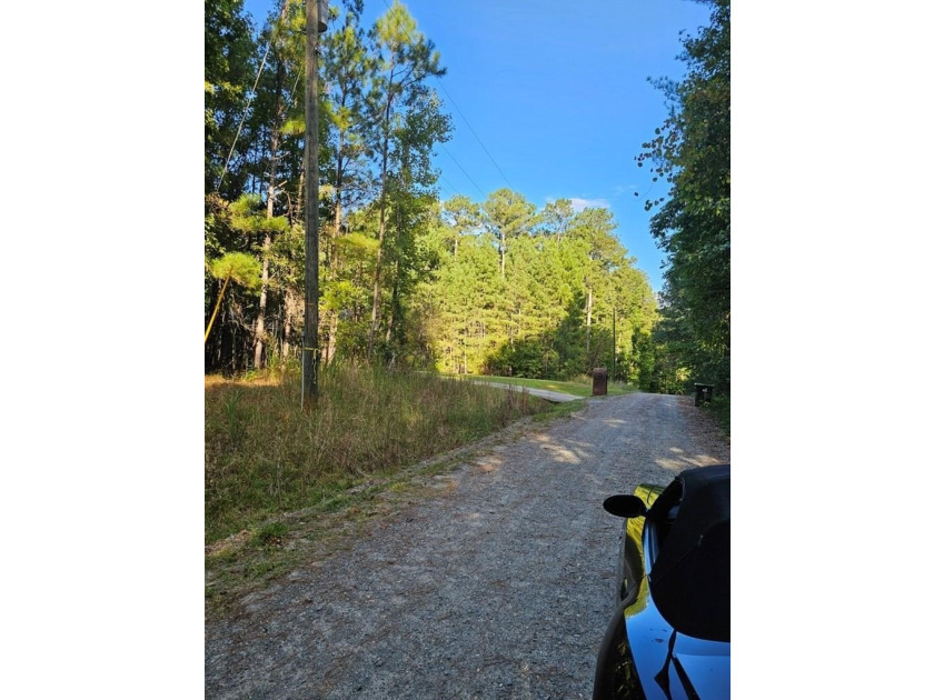 OWNER FINANCING WITH 25% DOWN. 0.65 Acre buildable lot in Oak - photo 6