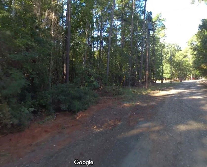 OWNER FINANCING WITH 25% DOWN. 0.65 Acre buildable lot in Oak - photo 8