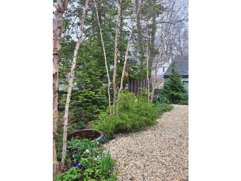 3 CRESTWOOD PLACE - MINT COLONIAL ON A WONDERFUL QUIET BLOCK - photo 12