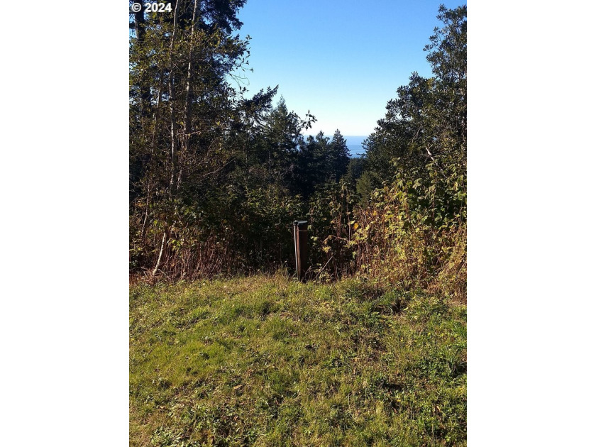 Gorgeous lot in the serene Carpenterville hills, build ready - photo 3