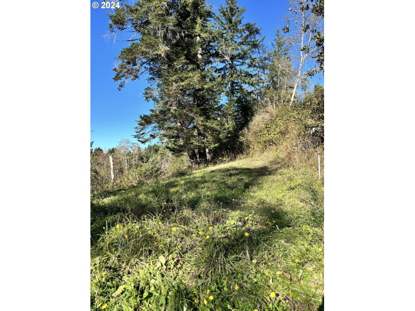 Gorgeous lot in the serene Carpenterville hills, build ready - photo 6