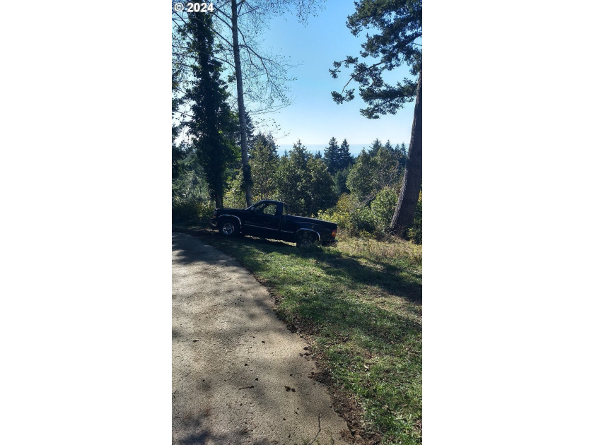Gorgeous lot in the serene Carpenterville hills, build ready - photo 8