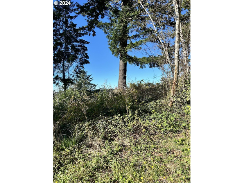 Gorgeous lot in the serene Carpenterville hills, build ready - photo 10