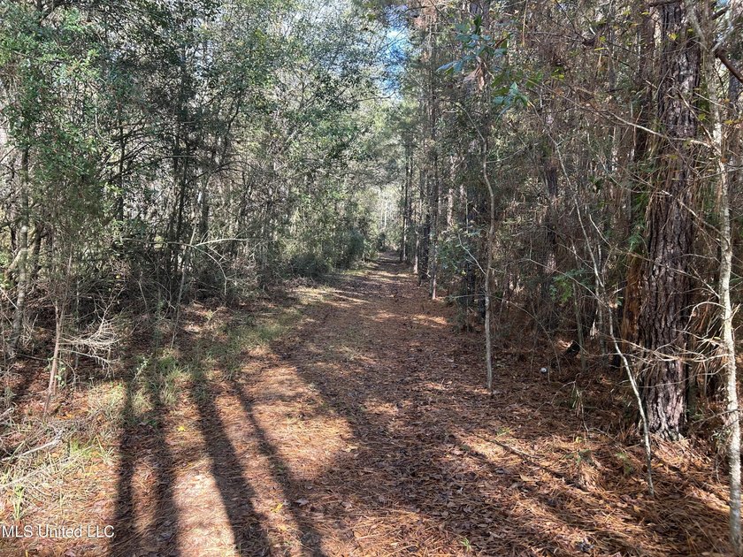 Discover 39.7+- surveyed acres in Brookhaven, Mississippi - photo 19