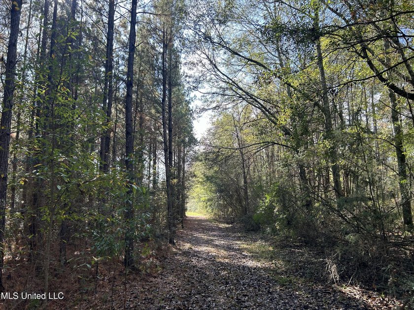 Discover 39.7+- surveyed acres in Brookhaven, Mississippi - photo 20