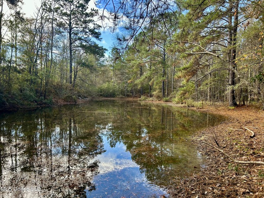 Discover 39.7+- surveyed acres in Brookhaven, Mississippi - photo 23