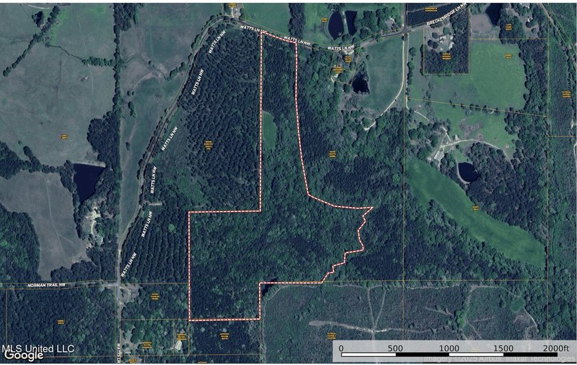 Discover 39.7+- surveyed acres in Brookhaven, Mississippi - photo 26