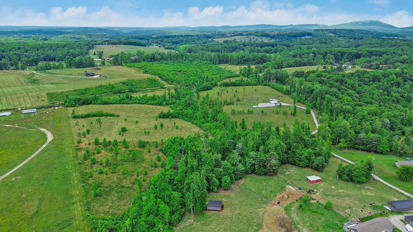 Green acres and opportunity await on Doc Loy Road. This property - photo 36