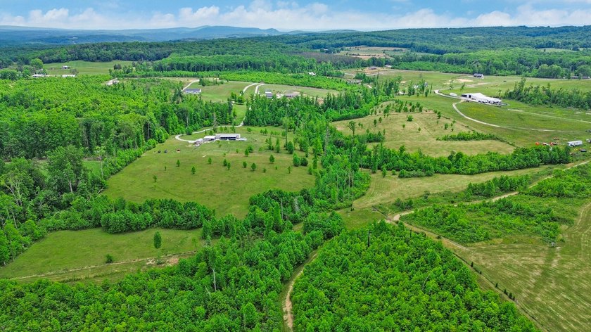 Green acres and opportunity await on Doc Loy Road. This property - photo 39