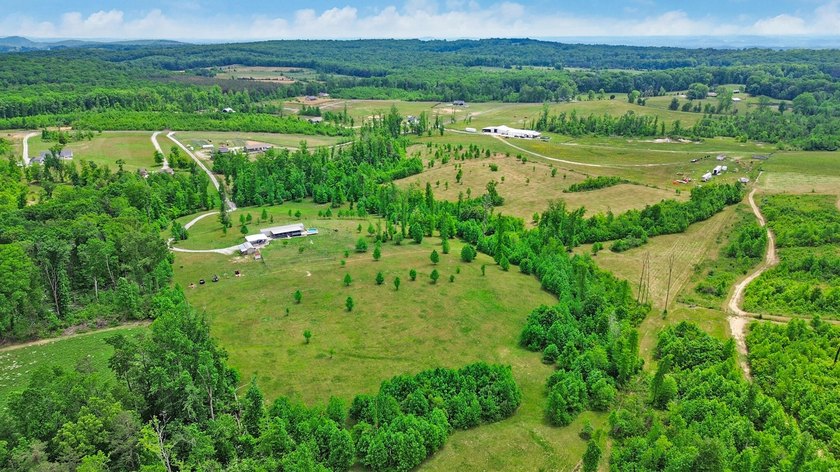 Green acres and opportunity await on Doc Loy Road. This property - photo 42