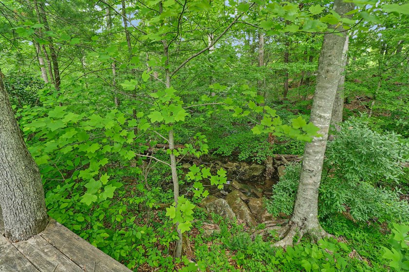 Green acres and opportunity await on Doc Loy Road. This property - photo 43