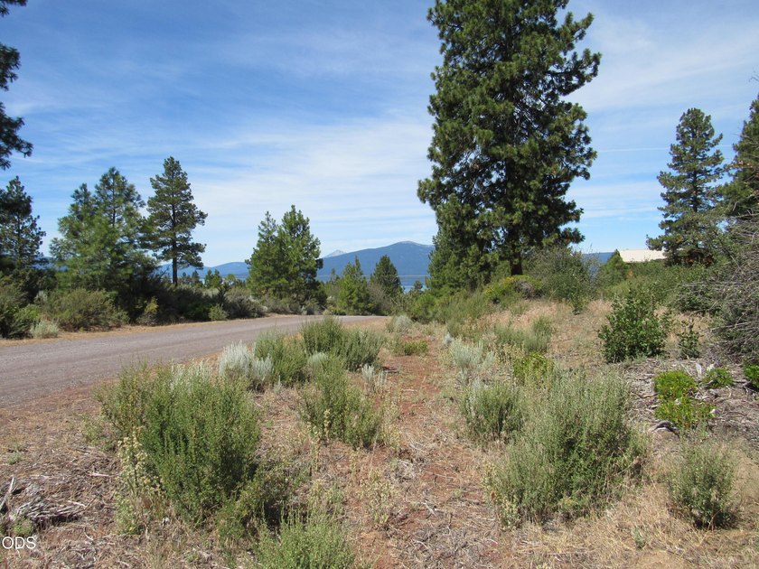Great one acre parcel of land to build an upscale home. Very - photo 8