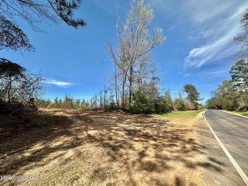 +/- 124 acres in the Shivers community in southwest Simpson - photo 2