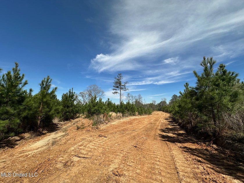 +/- 124 acres in the Shivers community in southwest Simpson - photo 3