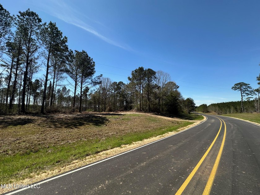 +/- 124 acres in the Shivers community in southwest Simpson - photo 7