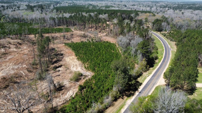 +/- 124 acres in the Shivers community in southwest Simpson - photo 8