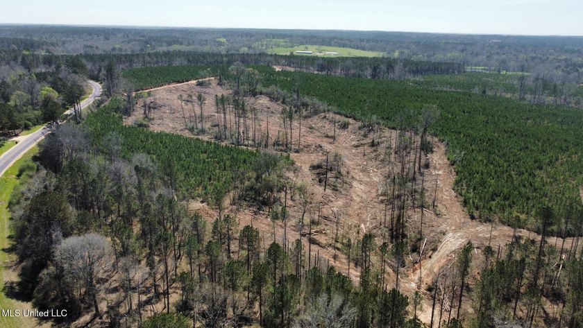 +/- 124 acres in the Shivers community in southwest Simpson - photo 9