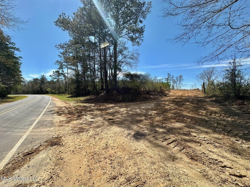 +/- 99 acres in the Shivers community in southwest Simpson - photo 2