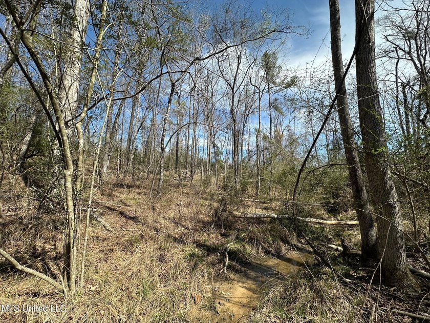 +/- 99 acres in the Shivers community in southwest Simpson - photo 8