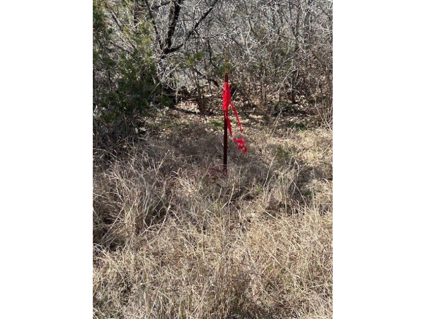 Great Lot with distant water view, partially cleared, backs up - photo 11