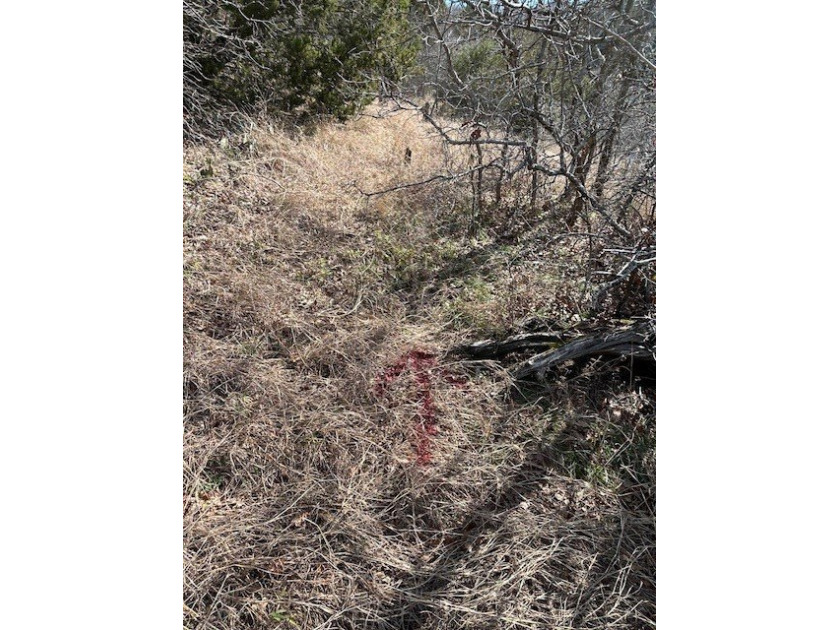 Great Lot with distant water view, partially cleared, backs up - photo 12