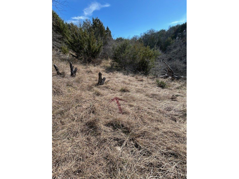 Great Lot with distant water view, partially cleared, backs up - photo 13