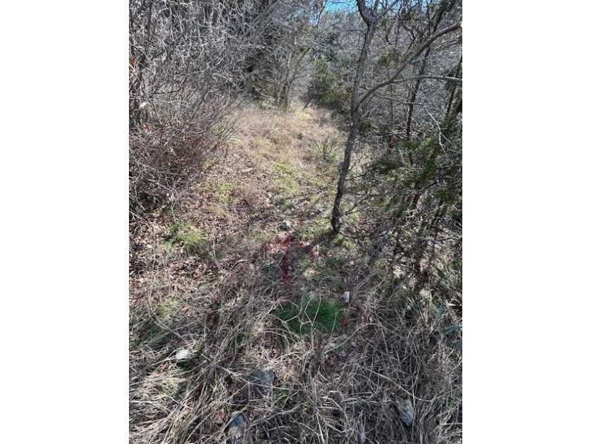 Great Lot with distant water view, partially cleared, backs up - photo 14
