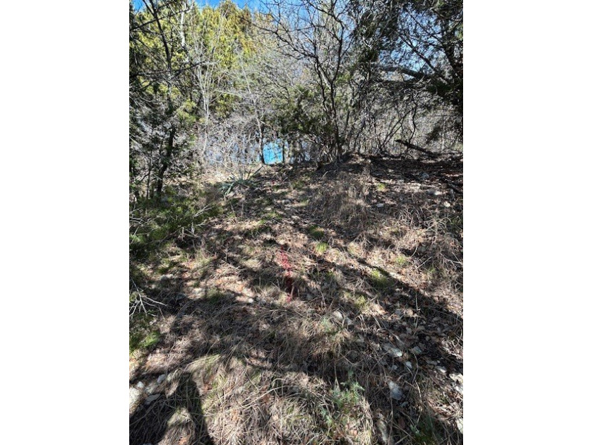 Great Lot with distant water view, partially cleared, backs up - photo 18