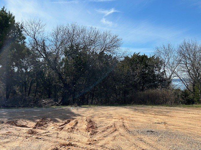 Great Lot with distant water view, partially cleared, backs up - photo 20
