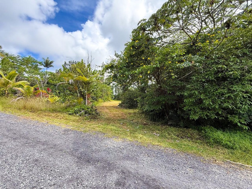 1-Acre Lot in Hawaiian Paradise Park - Prime Agricultural Land - photo 3
