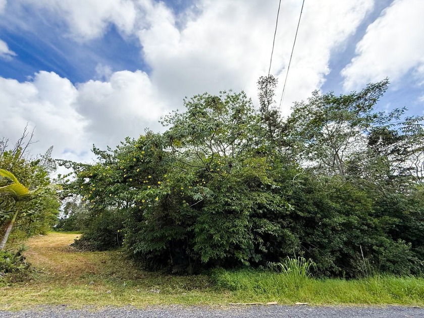 1-Acre Lot in Hawaiian Paradise Park - Prime Agricultural Land - photo 4
