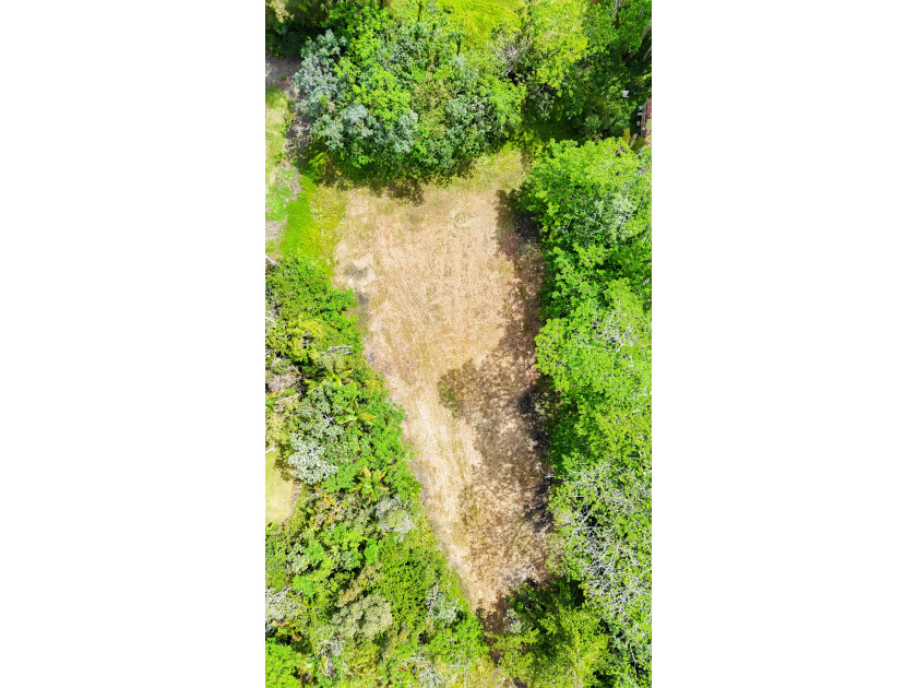 1-Acre Lot in Hawaiian Paradise Park - Prime Agricultural Land - photo 5