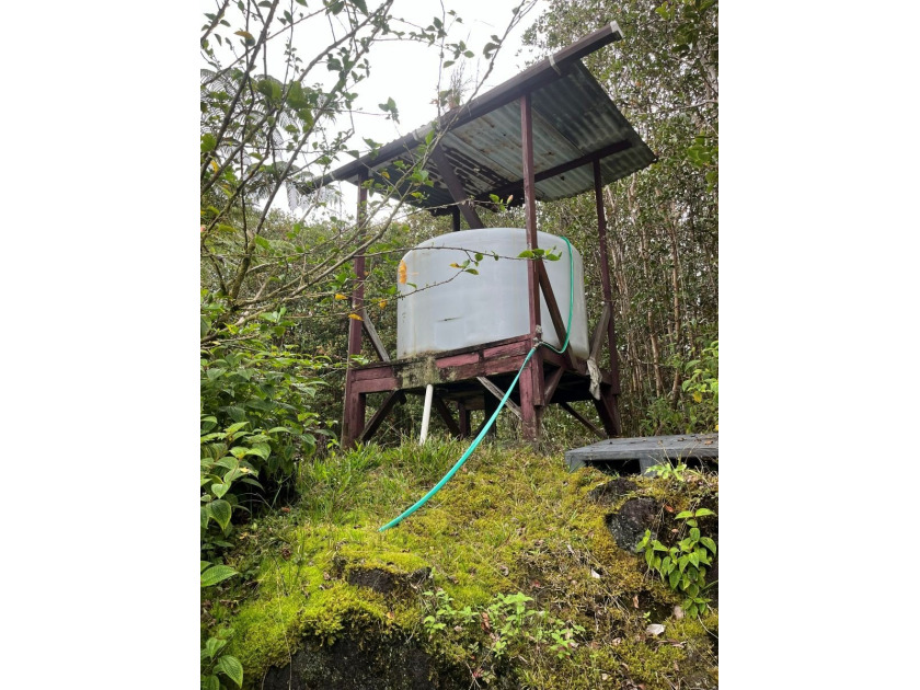 Quiet off-grid cabin on a mostly cleared 1-acre parcel located - photo 3
