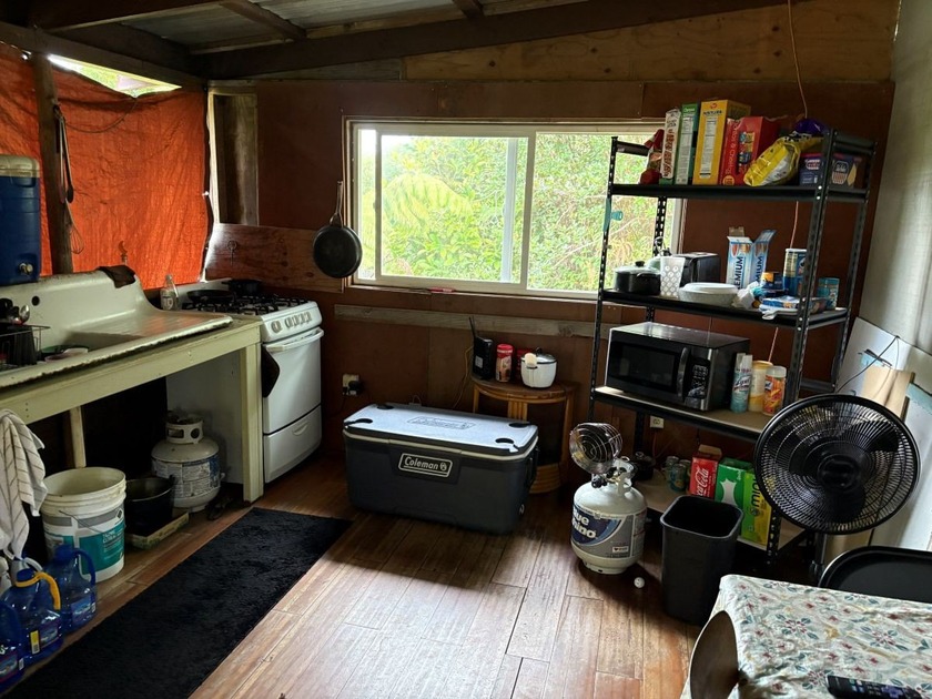 Quiet off-grid cabin on a mostly cleared 1-acre parcel located - photo 5