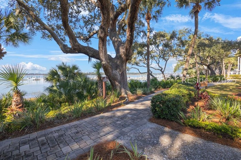 Panoramic Skull Creek and Intracoastal views highlight this - photo 35
