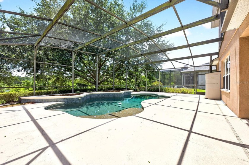 Virtually Staged. POOL HOME - OVERSIZED LOT - CONSERVATION &amp; - photo 44