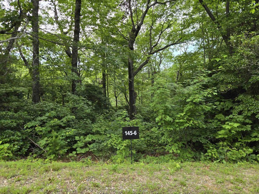 Welcome to the Cliffs at Glassy and build your dream home. This - photo 2