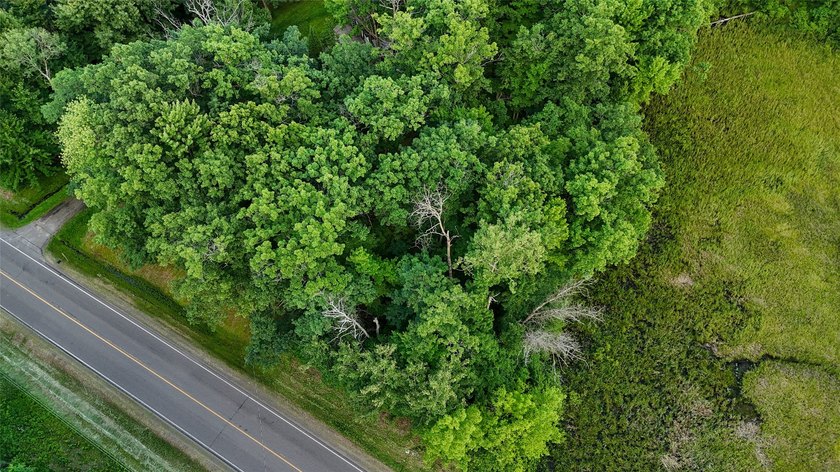 Discover the perfect blend of privacy, nature, and convenience - photo 12