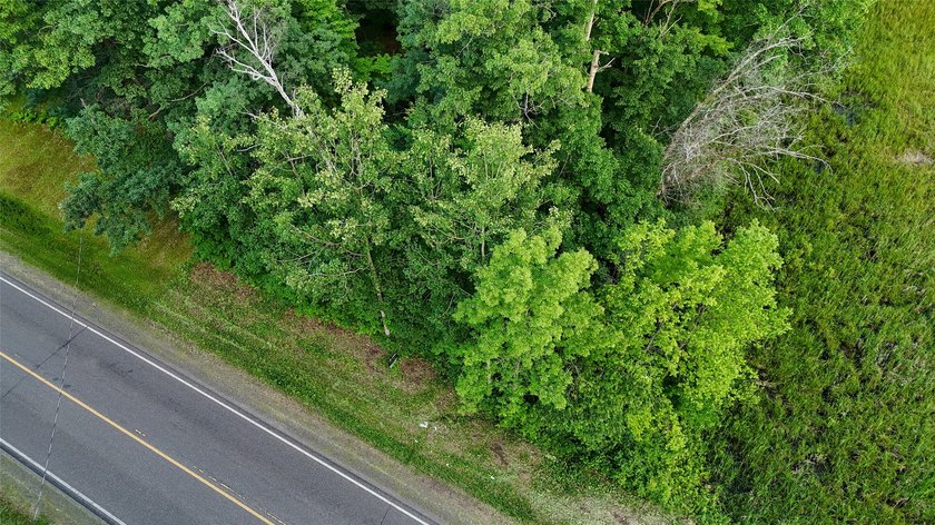 Discover the perfect blend of privacy, nature, and convenience - photo 13